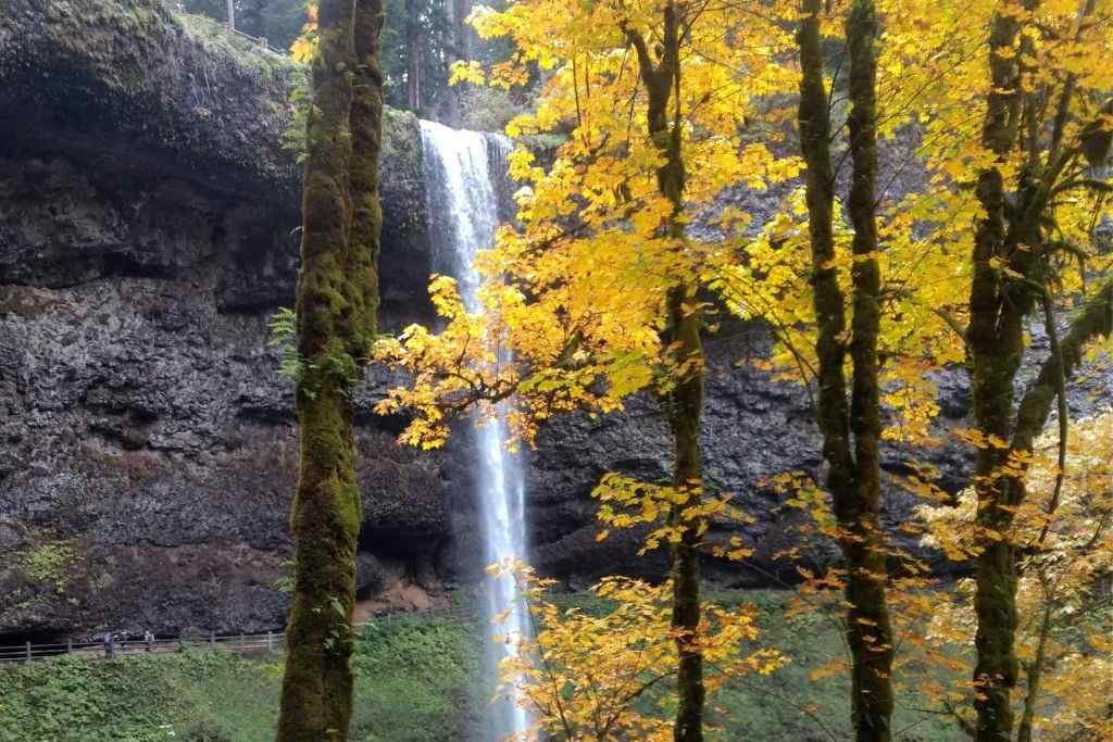 Silver Falls Loop