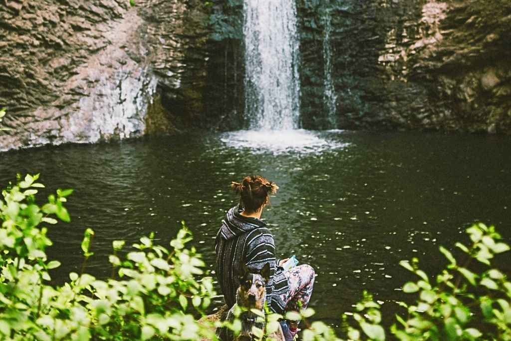 top 5 Best Hikes in Mount Rainier National Park with Waterfalls