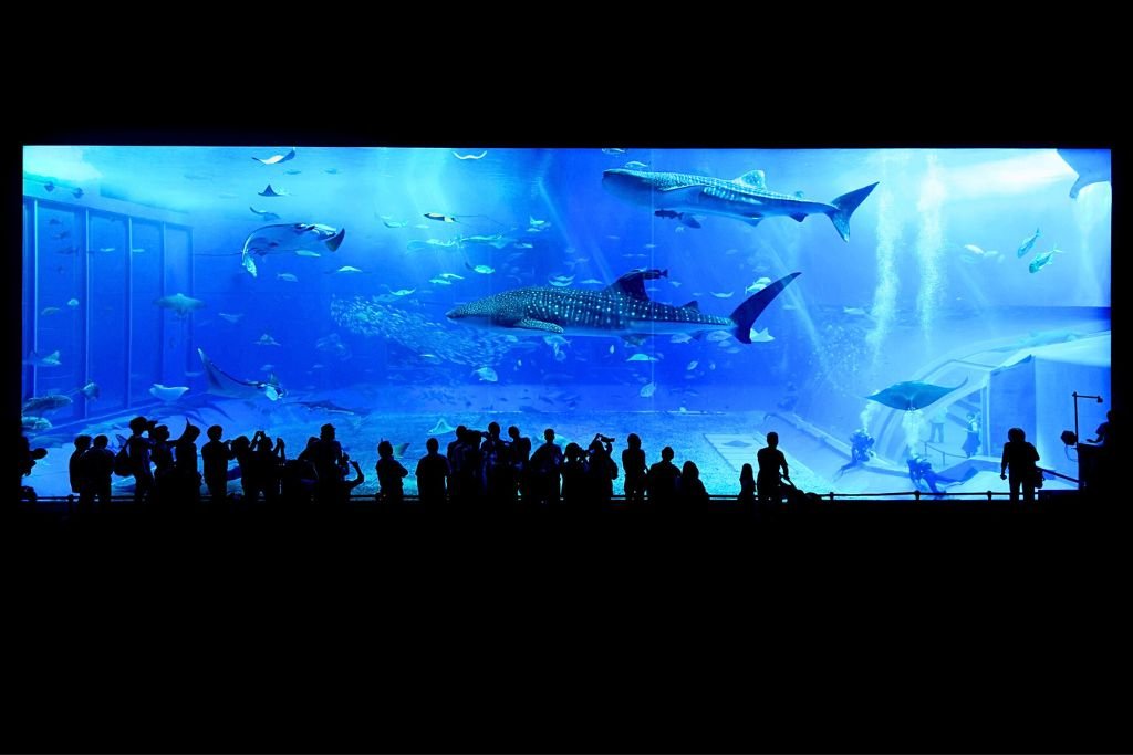 Seattle Aquarium